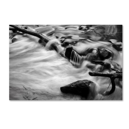 Jason Shaffer 'Black River' Canvas Art,12x19